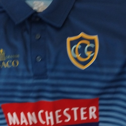 Blue gaa adults short - blue, sleeve
