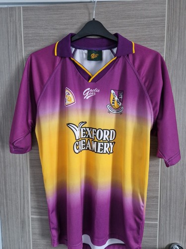 Vintage 2003 wexford gaa - 2003/04,